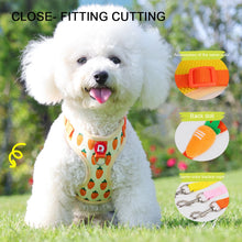Cute Fruit Pet Harness & Leash Set - Soft Breathable Puppy Kitten Walking Gear - Summer