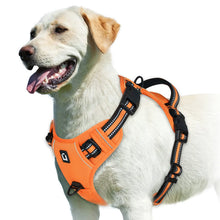 Empower your dog's inner explorer and reclaim your daily walks with a tactical, no-pull sanctuary built for ultimate safety and seamless control.