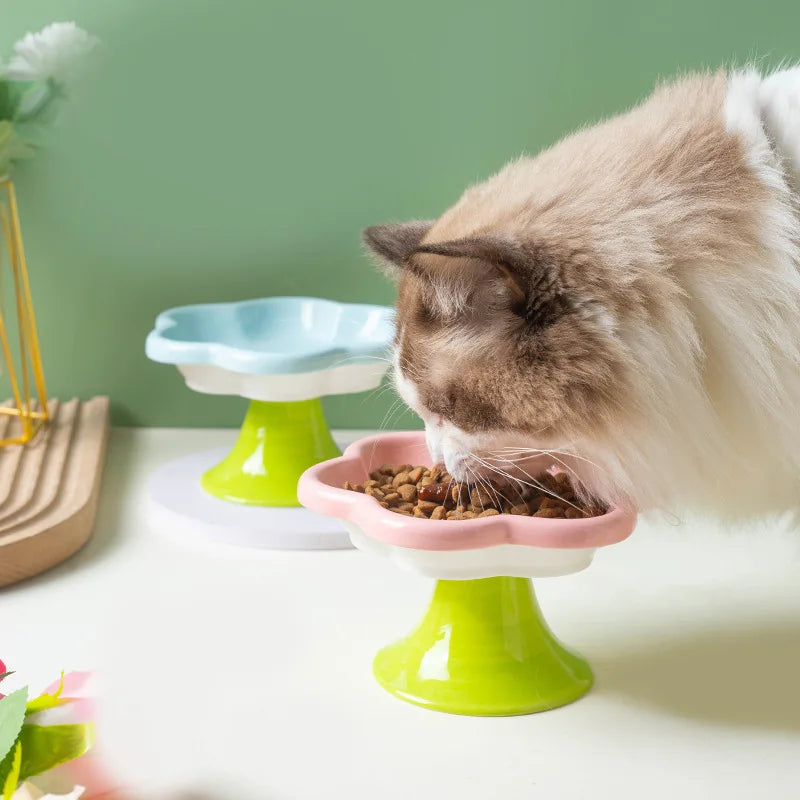 Erhöhter Katzennapf aus Keramik – Futternapf für Katzen mit stabilem Stand