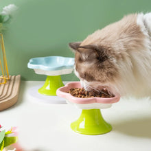 Erhöhter Katzennapf aus Keramik – Futternapf für Katzen mit stabilem Stand