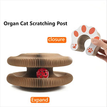 Foldable Cat Scratching Board and Cat Bed – Recyclable Cardboard Interactive Scratcher