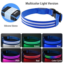 LED Hundehalsband wiederaufladbar – Leuchthalsband für Hunde mit USB und hoher Sichtbarkeit