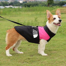 Waterproof Dog Coat – Warm Winter Jacket for Small, Medium & Large Dogs
