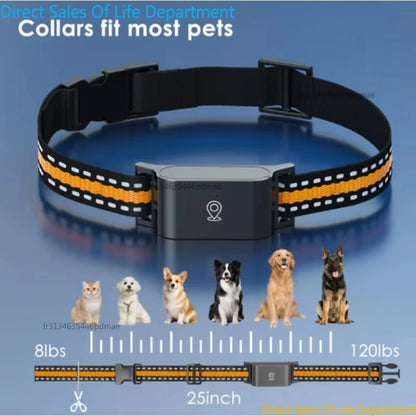 IP67 Waterproof Mini 4G GPS Pet Tracker Anti Lost Real Time Locator Dog Cat Collar with App Control for Small Medium Pets