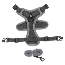 No Pull Reflective Dog Harness and Leash Set for Small Dogs and Cats