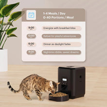 Automatic Cat & Dog Feeder with Timed Portion Control