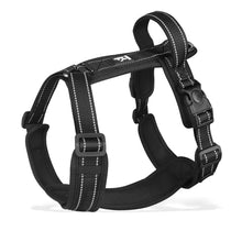 Pet Harness With Leash Vest For Dogs