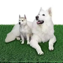 Reusable Dog Toilet Dog Lawn Carpet: Artificial Grass Rug for Dog, Dog Toilet, Training Mat, Dog Toilet for Balcony Garden