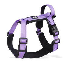 Pet Harness With Leash Vest For Dogs
