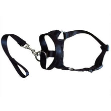 Dog Muzzle Collar - Adjustable Training Halter - Anti-Bite Pet Leash - Dog Safety Accessory