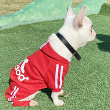 Classic Dog Hoodie - Four Leg Design Sweater Apparel for Small Medium Breed Dogs
