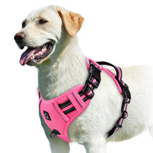 Empower your dog's inner explorer and reclaim your daily walks with a tactical, no-pull sanctuary built for ultimate safety and seamless control.