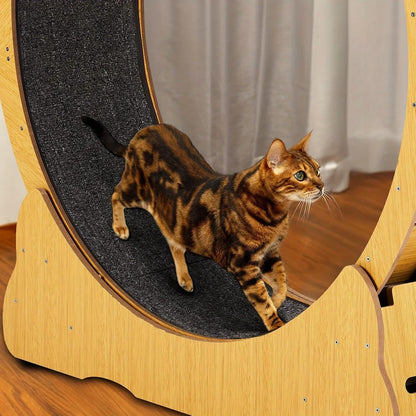 Indoor Cat Exercise Wheel with Silent Spinning Motion & Safety Lock - Large Cat Treadmill for Fitness, 110x34.5x116cm, Durable
