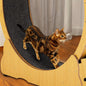 Indoor Cat Exercise Wheel with Silent Spinning Motion & Safety Lock - Large Cat Treadmill for Fitness, 110x34.5x116cm, Durable