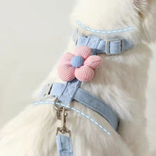 Adjustable Cat Harness & Leash Set - Breathable Small Dog Walking Strap - Pet Accessory