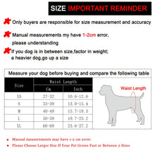 3Pcs Washable Female Dog Diapers Elastic Breathable Pet Nappies Reusable Pets Menstrual Period Panties For Small Medium Dogs Pug