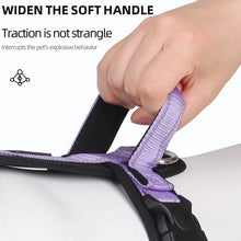 Pet Harness With Leash Vest For Dogs