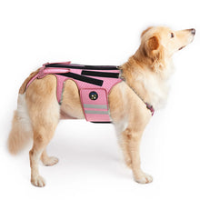 Dog Back Brace - Adjustable Spine Support Harness - Post Surgery Recovery Aid - Back Protection