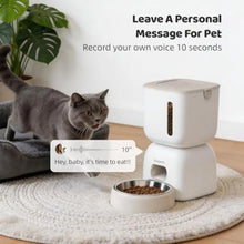 WiFi Automatic Pet Feeder & Water Fountain – Smart App-Controlled Feeding Set with 304 Stainless Steel Bowl & Voice Recording