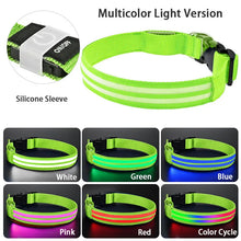 LED Hundehalsband wiederaufladbar – Leuchthalsband für Hunde mit USB und hoher Sichtbarkeit