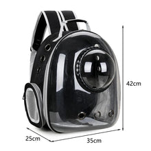 Cat Carrier Transparent