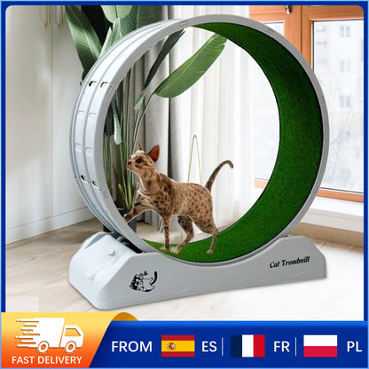 Silent Cat Running Wheel Treadmill Toy with Scratcher Board,Cat  Exercise Roller Frame,Pet Fitness Climbing Toy, 80×35×85cm Gray