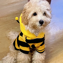 Cute Bee Costume Hoodie - Thickened Warm Pet Sweater for Halloween Cosplay Dogs Cats