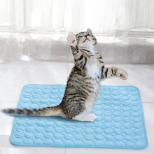 Kühlmatte für Hunde & Katzen – Selbstkühlende Pet Ice Mat für den Sommer