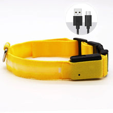 LED Light Dog Collar - USB Rechargeable Flashing Pet Safety Harness - Adjustable Small Large Dogs