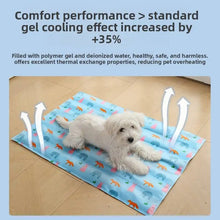 Durable Waterproof PVC Pet Cooling Mat Ice Crystal Gel Pad for Summer Heat Relief for Middle Large Dogs and Cats