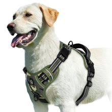 Empower your dog's inner explorer and reclaim your daily walks with a tactical, no-pull sanctuary built for ultimate safety and seamless control.
