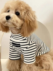 Autumn Winter Dog Thermal Shirt - Striped Warm Sweater for Small Breeds Puppies