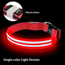 LED Hundehalsband wiederaufladbar – Leuchthalsband für Hunde mit USB und hoher Sichtbarkeit