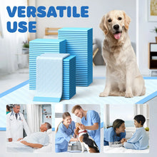 X-Large Blue Dog Pee Pads.