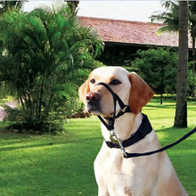 Dog Muzzle Collar - Adjustable Training Halter - Anti-Bite Pet Leash - Dog Safety Accessory
