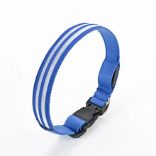 LED Hundehalsband wiederaufladbar – Leuchthalsband für Hunde mit USB und hoher Sichtbarkeit