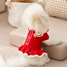 Winter Pet Dog Sweater - Luxury Knitted Princess Dress with Flower Print for Pets