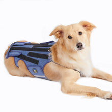 Dog Back Brace - Adjustable Spine Support Harness - Post Surgery Recovery Aid - Back Protection