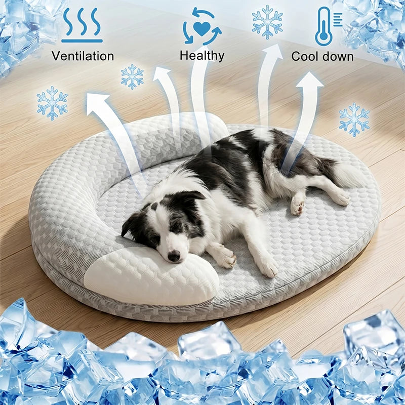 Sommerprodukte für Hunde