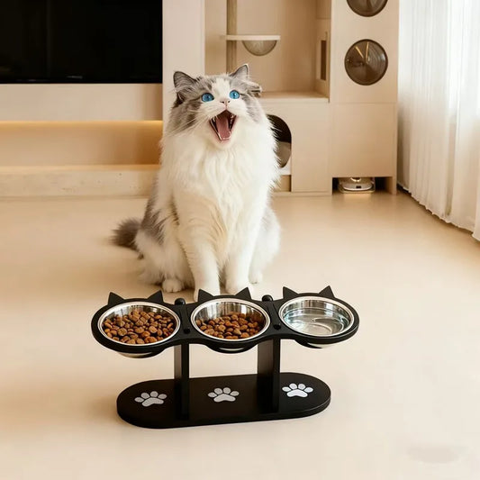 15° Tilted Elevated Cat Bowls - Raised Cat Bowls Stand，3 Stainless Steel Cat Dishes for Food and Water, Pet bowl