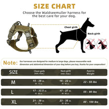 Empower your dog's inner explorer and reclaim your daily walks with a tactical, no-pull sanctuary built for ultimate safety and seamless control.