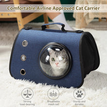 Airline Approved Cat Carrier Comfortable Pet Travel Carrier Shoulder Bag Handbag for Cats Small Dogs Under 13LBS cat litter box