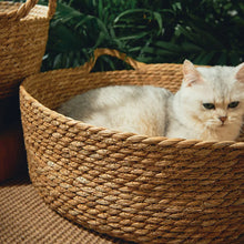 Cool Weave Basket Bed for Cats and Small Dogs Breezy Rattan Retreat
