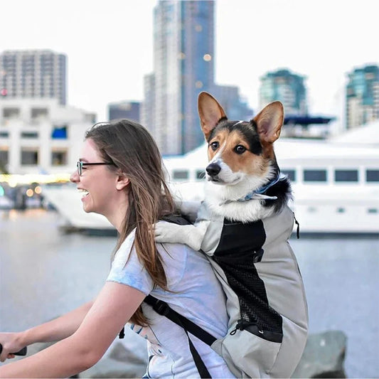 Breathable Pet Travel Bag for Small to Medium Dogs
