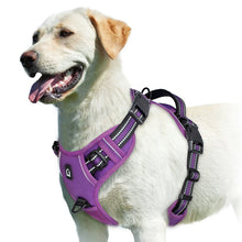 Empower your dog's inner explorer and reclaim your daily walks with a tactical, no-pull sanctuary built for ultimate safety and seamless control.