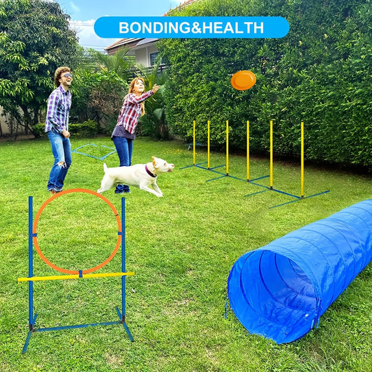 Faltbarer Agility-Tunnel für Hunde