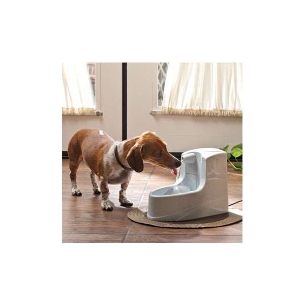 Trinkbrunnen für Hunde – Drinkwell Mini 1,2 L – Bild 2