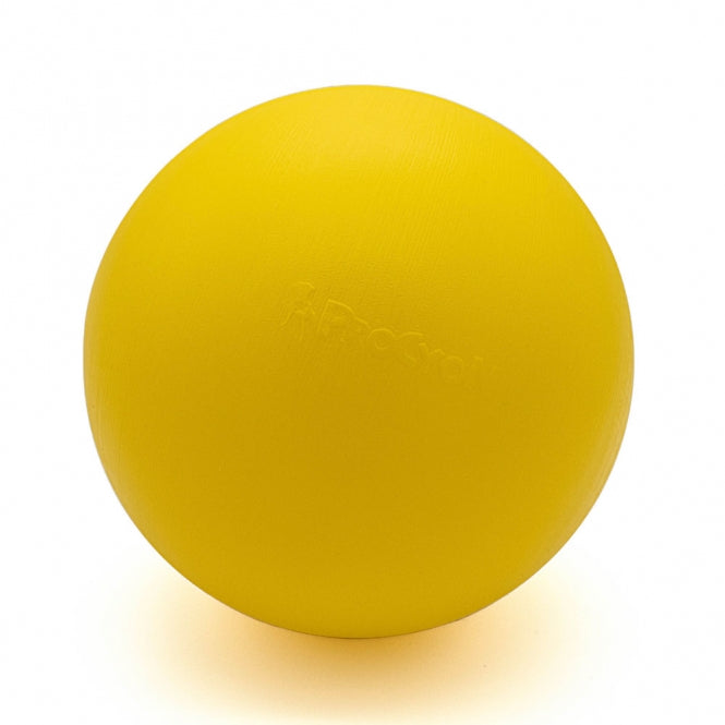 Treibball für Hunde – Größe S – Bild 12