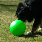 Treibball für Hunde – Größe S – Bild 4