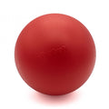 Treibball für Hunde Größe S | PROCYON